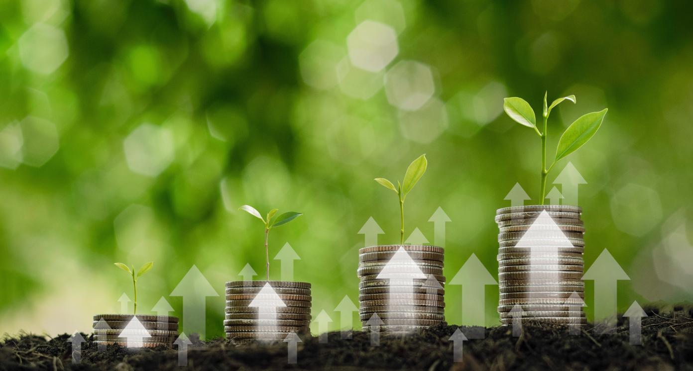 Aligning Capital Main Page Image 1392x746